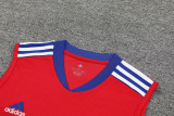 2023-24 Bayern Red Tank top and shorts suit