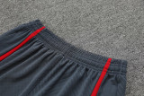 2023-24 LIV Grey Training Shorts Pants