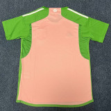 2023 Japan Pink Green Special Edition Fans Soccer Jersey