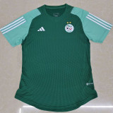 2023-24 Algeria Green Special Edition Player Version Soccer Jersey (没图案)