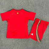 2024-25 Wales Home Kids Soccer Jersey