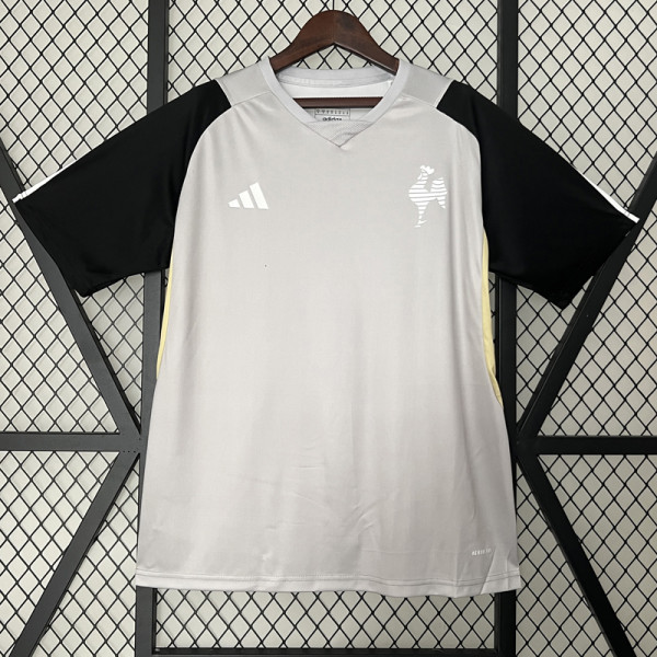 2024-25 Atletico Mineiro Gray Training shirts