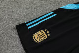 2024-25 Argentina Earthy Gold Training Short Suit