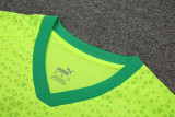 2024-25 Palmeiras Fluorescent green Training Short Suit