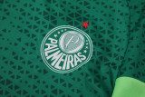 2024-25 Palmeiras Green Training Short Suit