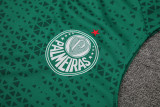 2024-25 Palmeiras Green Tank top and shorts suit