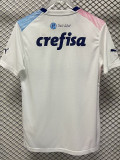 2023-24 Palmeiras White Pink Blue Special Edition Training shirts