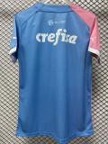 2023-24 Palmeiras Pink Blue Special Edition Training shirts