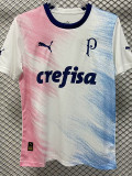 2023-24 Palmeiras White Pink Blue Special Edition Training shirts