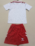 2024-25 Denmark Away Kids Soccer Jersey