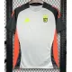 2024-25 Benfica Grey Training Shirts
