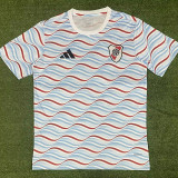 2024-25 River Plate Grey Blue Training Shirts