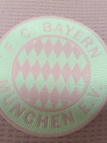 2024-25 Bayern Special Edition Player Version Soccer Jersey *