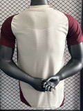 2024-25 Bayern Khaki Brown Special Edition Player Version Soccer Jersey