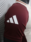 2024-25 Bayern Khaki Brown Special Edition Player Version Soccer Jersey