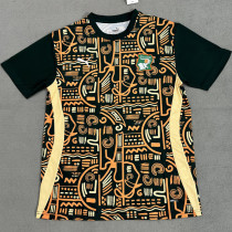 2024-25 Ivory Coast Green Yellow Fans Training shirts
