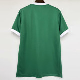 2025-26 Palmeiras Home 1:1 Fans Soccer Jersey