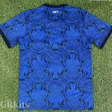 2025-26 Guatemala Blue Training shirts