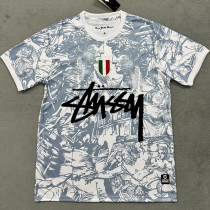 2024-25 Italy Grey White Special Edition Fans Soccer Jersey (Print Personalized AD)