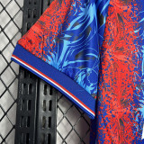 2024-25 Crystal Palace Home Print Winners #25 Fans Soccer Jersey