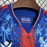 2024-25 Crystal Palace Home Print Winners #25 Fans Soccer Jersey