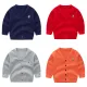 Autumn Boys' Sweater Cartoon #A06