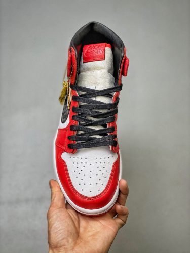 Dior x Jordan 1 High OG 2021 Red