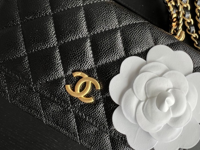 Handbag Chanel AP2806 size 19 cm