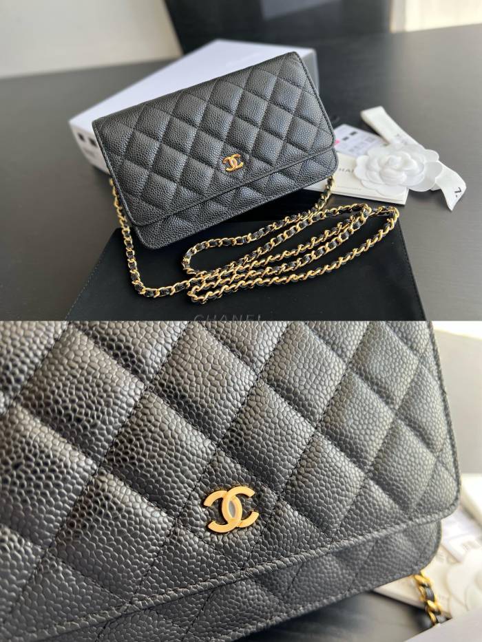 Handbag Chanel 0250 size 19 cm