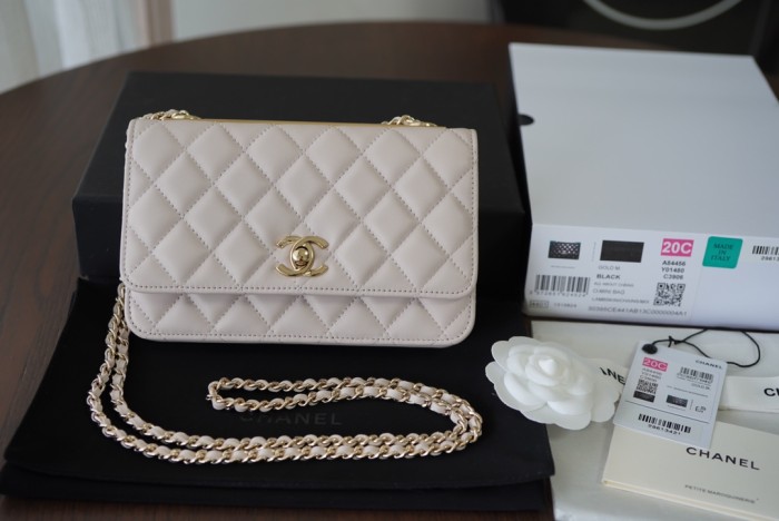Handbag Chanel AP84456 size 19 cm