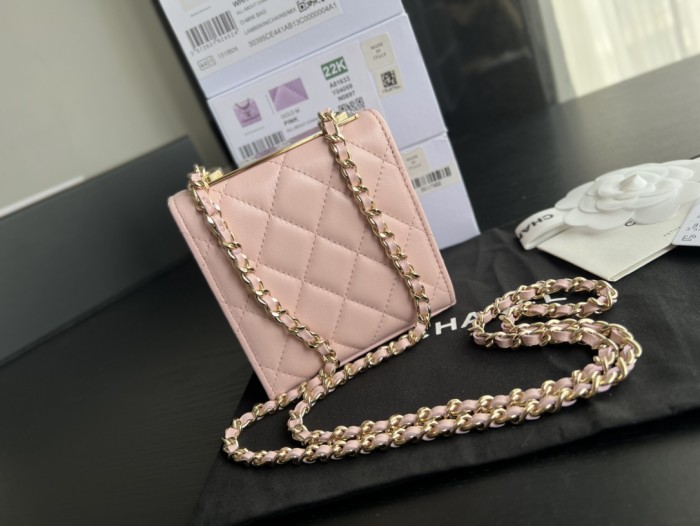 Handbag Chanel A81633 size 11cmx11cmx5 cm