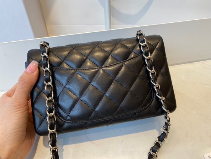 Handbag Chanel 01116 size 20 cm