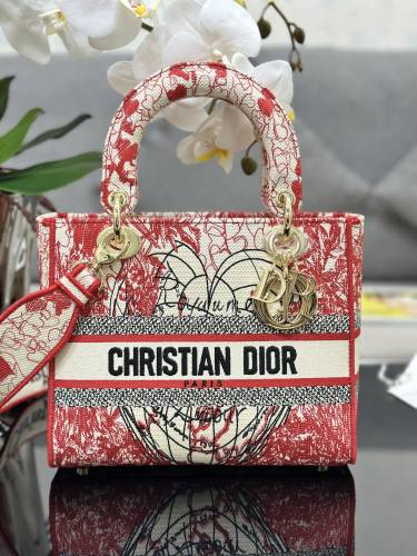Handbag Dior M0565 size 24*20*11 cm