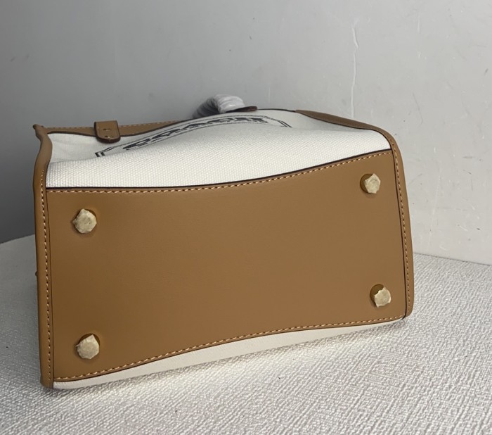 Handbags Coach CH740 size:22*20*12