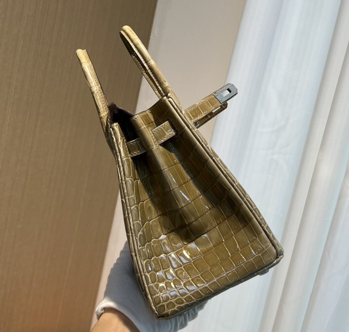 Handbags Hermes birkin size:25 cm