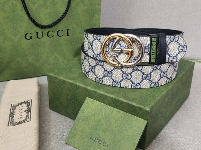 Streetwear Belt Gucci 160874