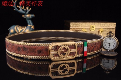 Streetwear Belt Gucci 160582