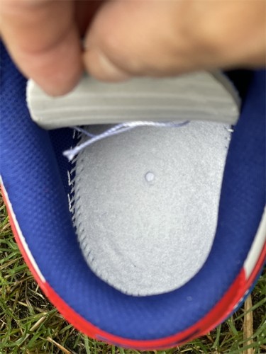 Authentic Nike Dunk Low WHITE/BLUE/RED