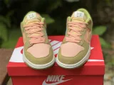 Authentic Nike Dunk Low “Nike Sun Club”