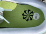 Authentic Nike SB Dunk Low  Next Nature “White mint”