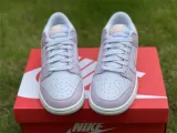 Authentic Nike Dunk Low BLUE/PINK/PURPLE