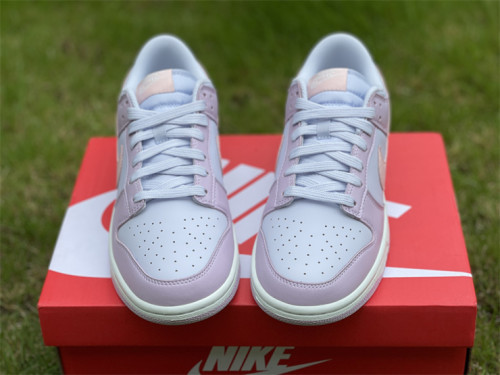 Authentic Nike Dunk Low BLUE/PINK/PURPLE