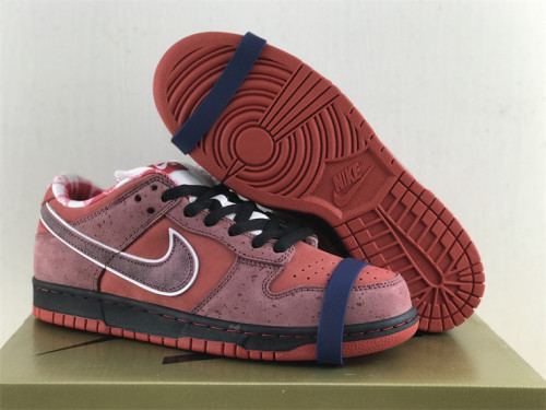 Authentic NIKE SB Dunk Low Red Lobster