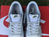 Authentic Nike Dunk Low Multi-color 3D