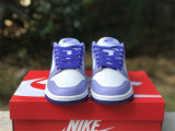 Authentic Nike SB Dunk Low “Blueberry”