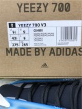 Authentic Boost Yeezy 700V3 “Arzareth”