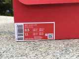 Authentic Nike Dunk Low “Chicago Split”