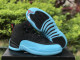 Authentic Air Jordan 12  Gamma Blue