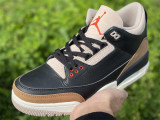 Authentic Air Jordan 3 “Desert Elephant”