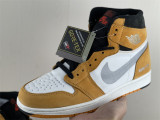 Authentic Air Jordan 1 High Element Gore-Tex “Light Curry”